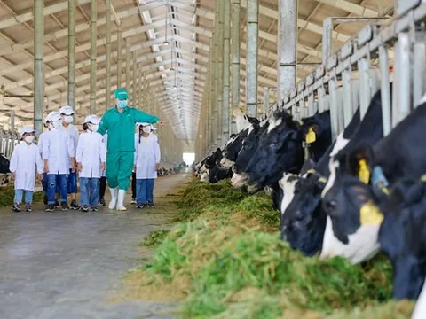 Vinamilk thuộc Top 50 doanh nghiệp phát triển bền vững tiêu biểu 2022