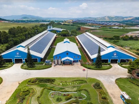 “Dấu ấn xanh” của Vinamilk tại giải thưởng Môi trường Việt Nam