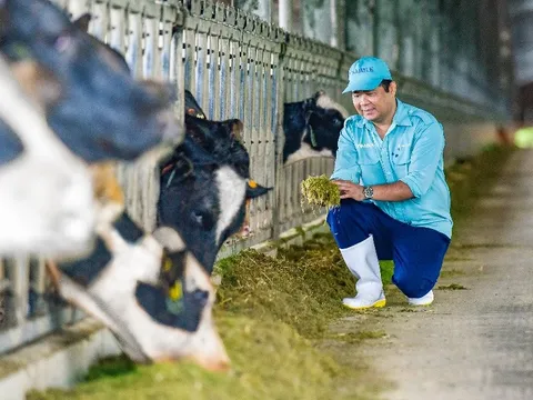 Vinamilk tăng cường đàn bò sữa cho các Green Farm với hơn 1.500 bò sữa nhập từ Mỹ
