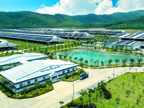 Vinamilk có 5 nhãn hiệu lọt Top 10 thương hiệu sữa và sản phẩm từ sữa được chọn mua nhiều nhất