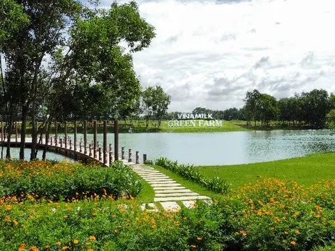 Tiêu dùng bền vững – Xu hướng cần được doanh nghiệp nắm bắt và thúc đẩy