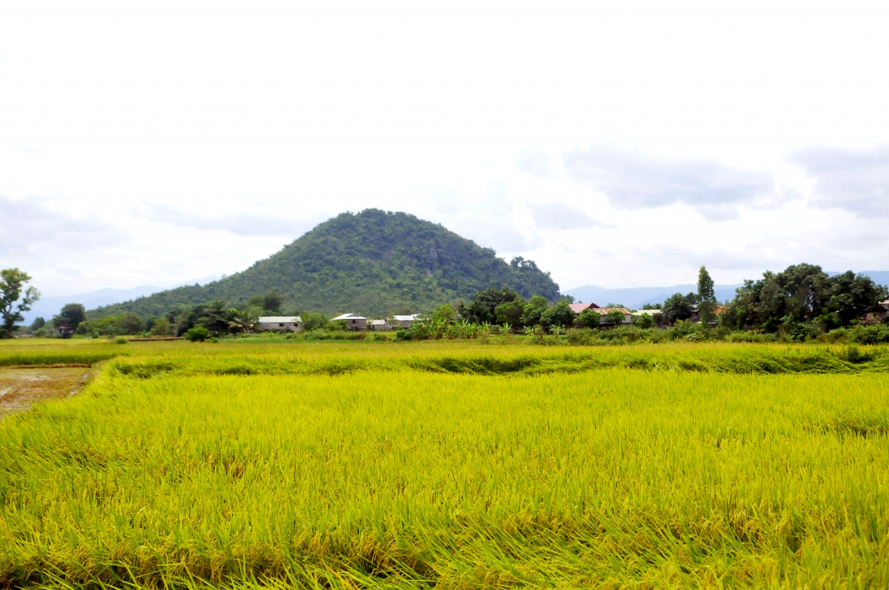 Miền quê được đất trời trù phú khiến bà con nhân dân được những mùa bội thu