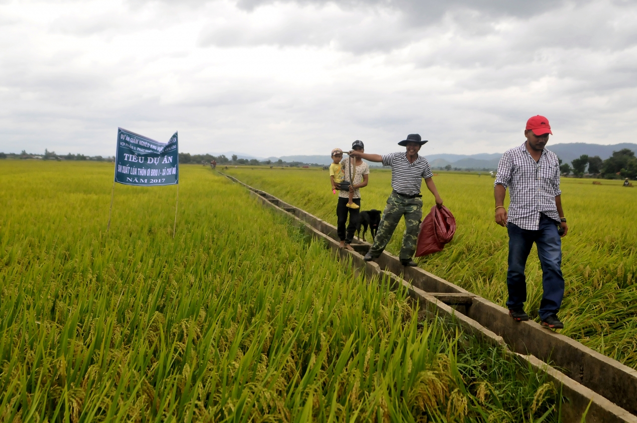 Ở đây người dân cũng được quan tâm của chính quyền địa phương đầu tư hệ thống thủy lợi thuận tiện cho canh tác