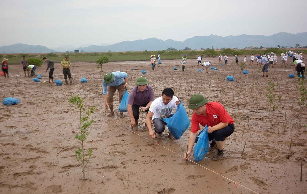 ctd-quang-ninh-1