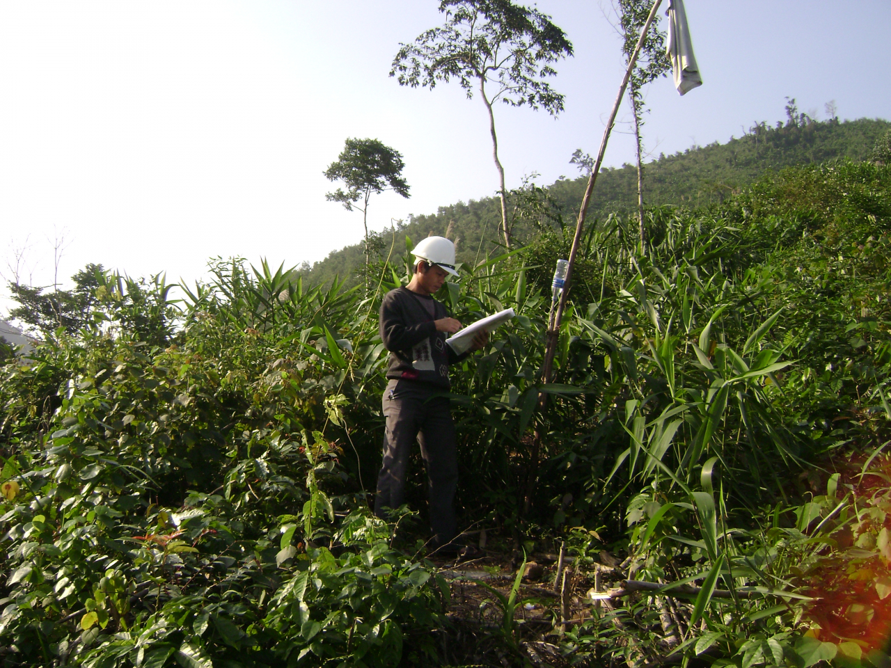 khảo sát xây dựng cáp treo