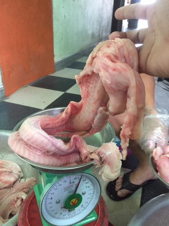 Đặc sản Hàn Quốc sâu dưới đáy biển, dân Việt thi nhau lùng mua