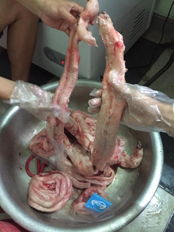 Đặc sản Hàn Quốc sâu dưới đáy biển, dân Việt thi nhau lùng mua