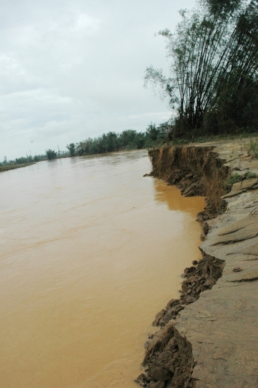 tai-thi-xa-dien-ban-quang-nam-khai-thac-cat-bua-bai-gay-sat-lo-khien-dan-mat-dat-san-xuat3