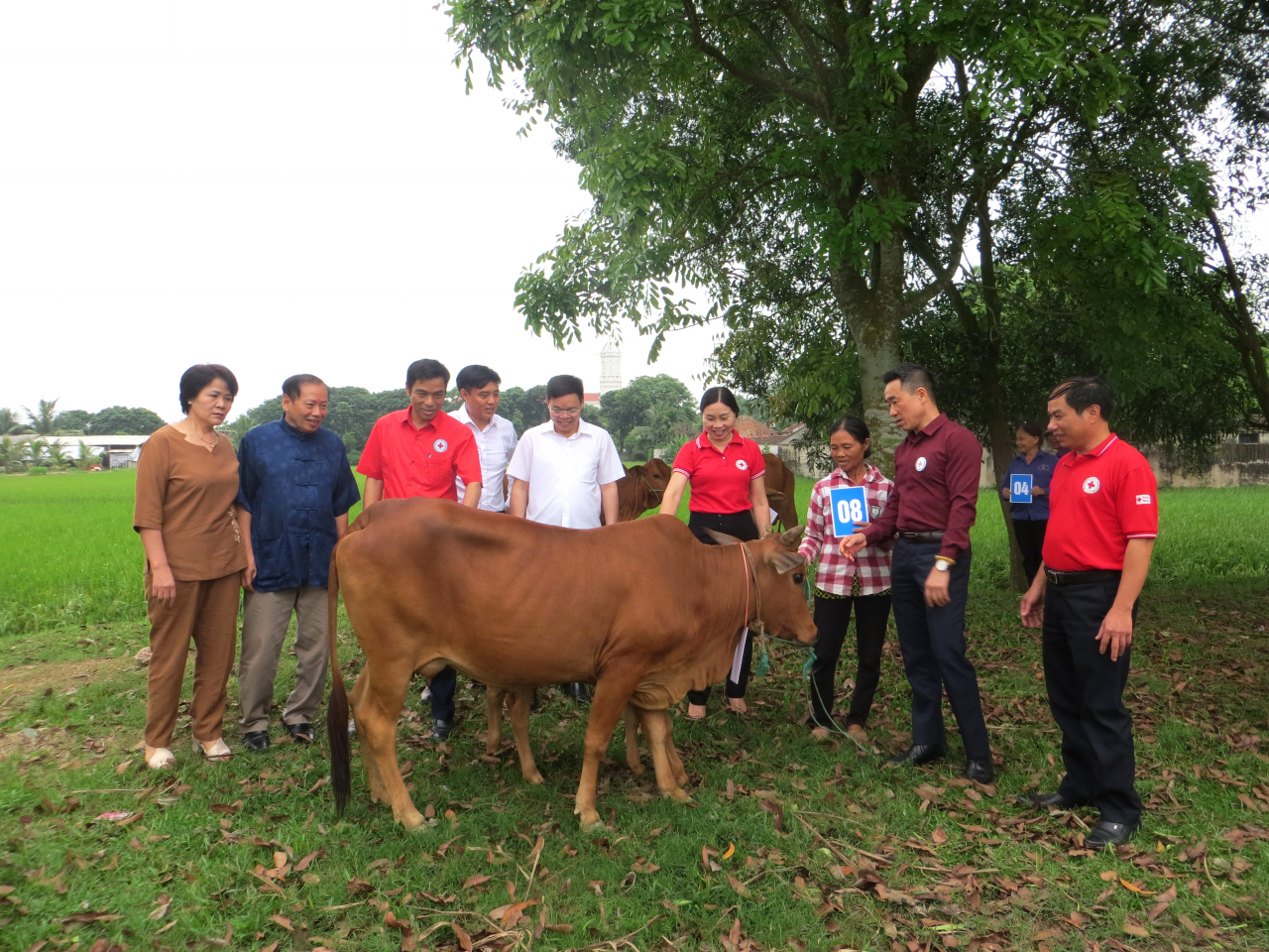 Trao bò cho hộ dân xã Hà Vinh