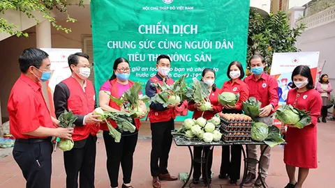 Phát động Chiến dịch “Chung sức cùng người dân tiêu thụ nông sản”