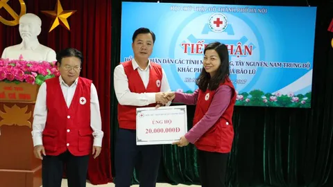 Hội Chữ thập đỏ TP. Hà Nội vận động quyên góp, ủng hộ đồng bào vùng lũ