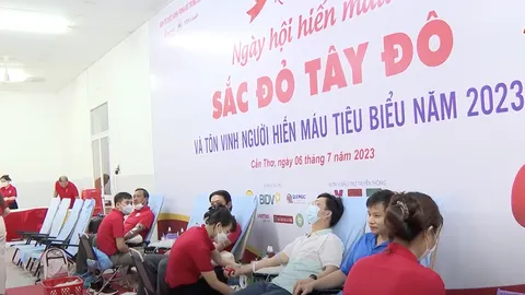 Hội Chữ thập đỏ Cần Thơ tổng kết công tác Hội và phong trào Chữ thập đỏ năm 2023