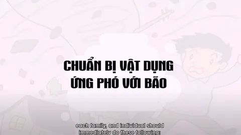 Chuẩn bị vật dựng ứng phó với bão