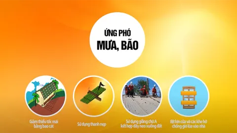 Kỹ năng chằng chống nhà cửa phòng, chống bão lũ