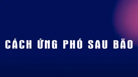 Cách ứng phó sau bão