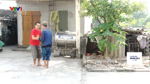 Nhịp cầu nhân ái