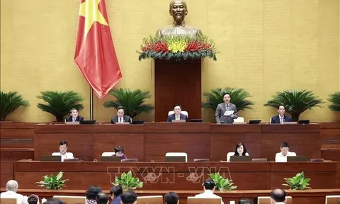 Ngày 30/5, Quốc hội thảo luận Luật Giao dịch điện tử và cơ chế, chính sách đặc thù phát triển TP Hồ Chí Minh