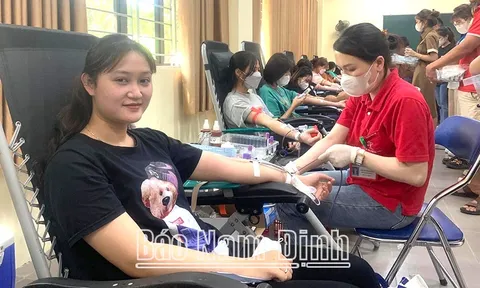 Nam Định: Sôi nổi các hoạt động trong Tháng Nhân đạo 2023