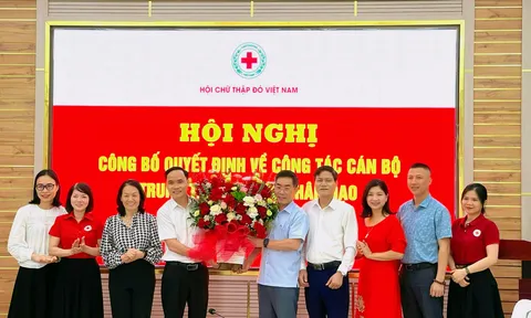 Bổ nhiệm ông Nguyễn Văn Cường làm Giám đốc Trung tâm Dịch vụ nhân đạo