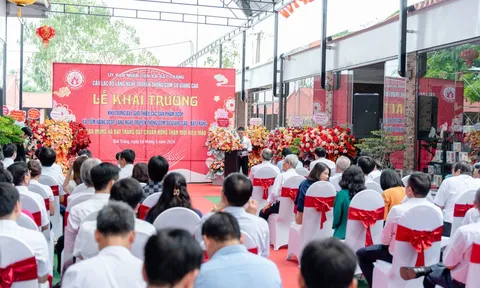 Xã Bát Tràng (huyện Gia Lâm) đã đón nhận danh hiệu đạt chuẩn nông thôn mới kiểu mẫu của thành phố Hà Nội