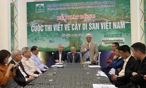 Cuộc thi viết về Cây Di sản Việt Nam - Lan tỏa ý tưởng xanh