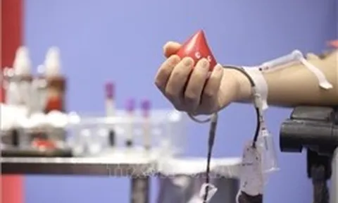 Chàng trai 70 lần hiến máu tình nguyện: Hạnh phúc từ sự sẻ chia