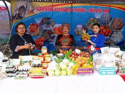 Đưa hương thơm của núi rừng vươn xa