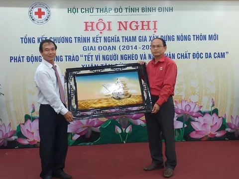 Hội Chữ thập đỏ Việt Nam cứu trợ vùng lũ Nghệ An