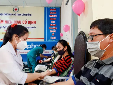 Lâm Đồng: Giọt hồng từ những trái tim tình nguyện