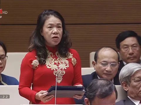 Chủ tịch nước, Chính phủ đã quan tâm chỉ đạo, định hướng và tạo điều kiện để nâng cao chất lượng, hiệu quả hoạt động Chữ thập đỏ