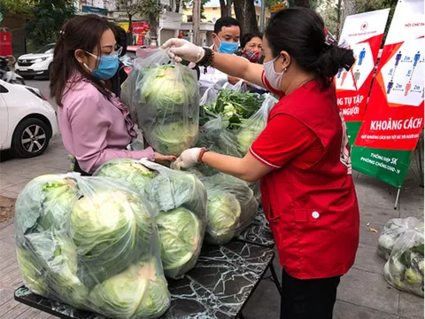 Hội Chữ thập đỏ Việt Nam hỗ trợ người dân vùng dịch Hải Dương tiêu thụ 769 tấn nông sản