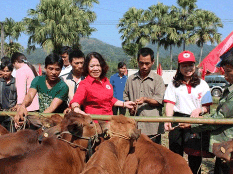 "Ngân hàng bò" - Chương trình vận động nội lực với quy mô lớn của Hội