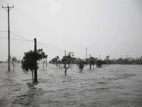 Ước nguyện Trung thu: 56 suất quà được trao tới các em nhỏ khuyết tật có hoàn cảnh khó khăn và người già neo đơn tại Hà Nội