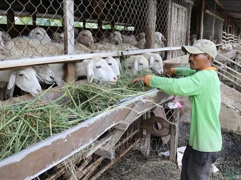 Tỷ lệ giảm nghèo của Việt Nam trong 10 năm qua đầy ấn tượng