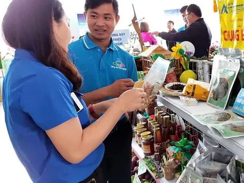 Khởi nghiệp từ nghề nuôi dế