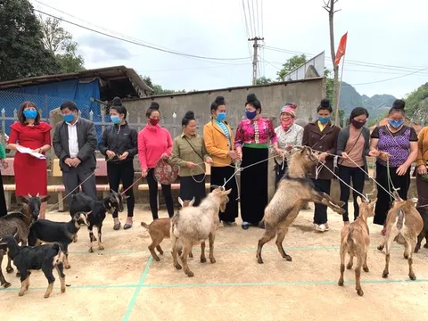 Hàng trăm phụ nữ nghèo vùng biên được hỗ trợ sinh kế từ chương trình 2019