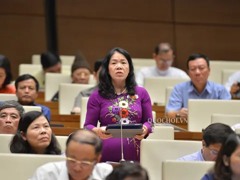 PGS.TS Nguyễn Thị Xuân Thu - Nghiên cứu để có một tổ chức đầu mối, điều phối các nguồn lực vận động xã hội hoá cho công tác nhân đạo, từ thiện