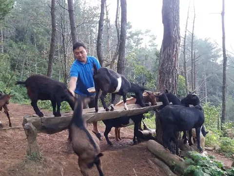 Thủ lĩnh đoàn tiên phong phát triển kinh tế