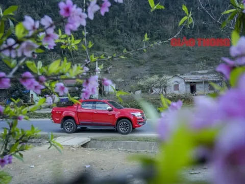 Những mẹo nhỏ giúp chở đồ hiệu quả trên xe bán tải ngày Tết