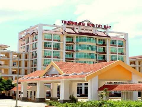 Bộ GD&ĐT sẽ thanh tra 10 trường đại học, 4 sở giáo dục năm 2019