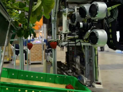 Robot sẽ thay nông dân làm nông nghiệp?