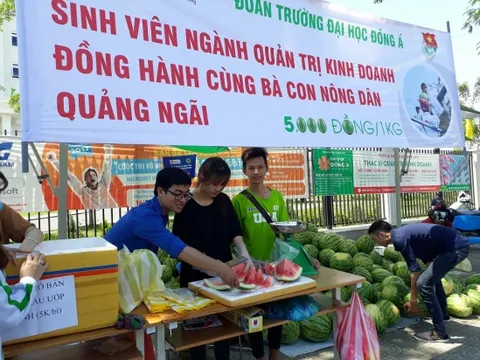 Trường Đại học Đông Á:  Đầu tư kiến thức, tạo giá trị bền lâu