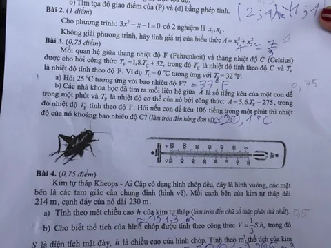 Tuyển sinh lớp 10 ở TP.HCM: Hơn 200 bài thi toán điểm 0