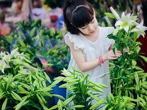 Người trồng hoa xứ Huế vui được mùa