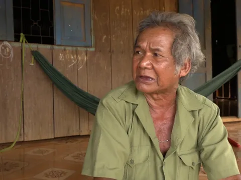 Đáng lo hiện tượng bán điều non tại Bình Phước