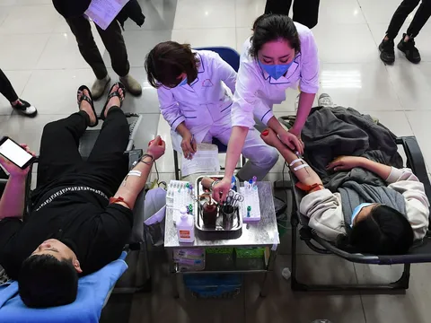 Những giọt máu quý như vàng giúp người bệnh từ cõi chết trở về