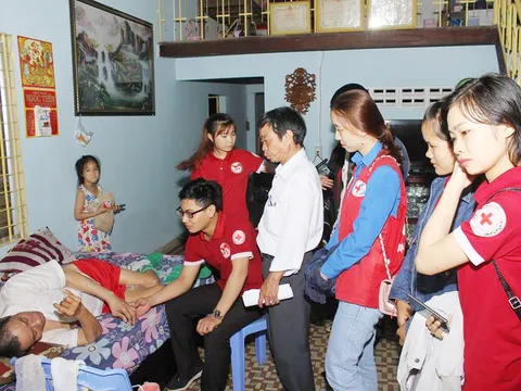 Vườn hoa tình nguyện mang màu áo chữ thập đỏ