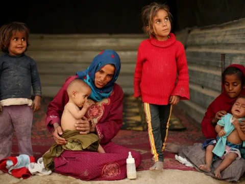 LHQ phát động chiến dịch gây quỹ toàn cầu cho người tị nạn Palestine