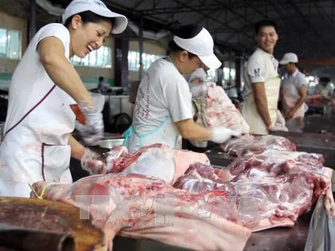 Lần đầu tiên Việt Nam xuất khẩu thịt heo tươi