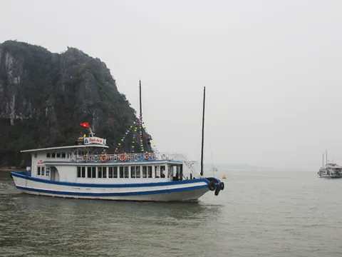 Nhóm chuyên gia UNESCO khảo sát tại Quảng Ninh